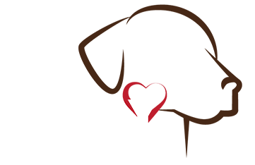 Welcome to the K9 Stray Rescue League.
